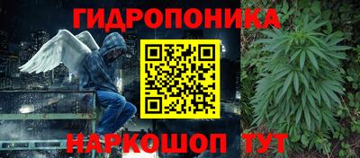 индика Волжск